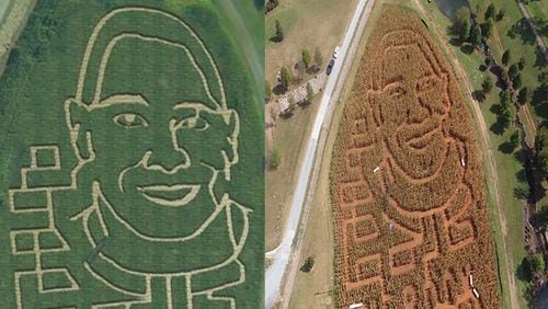 A picture of the corn maze at The Rock Ranch before and after the drought in Georgia.