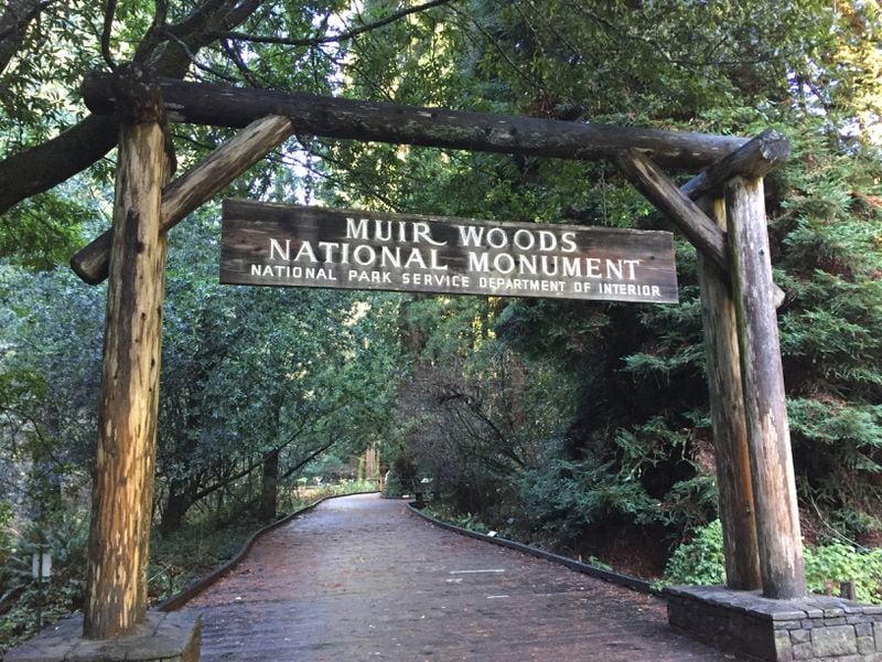 Muir Woods, home of a redwood forest, is 16 miles north of San Francisco. (Suzanne Van Atten for The Atlanta Journal-Constitution)