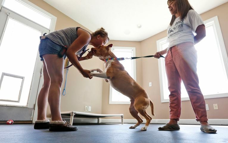 Former Bad Newz Kennels now a refuge for dogs