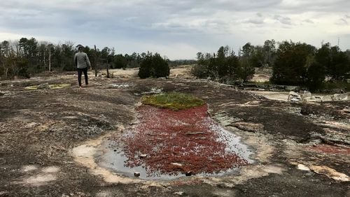 Explore Arabia Mountain, a rocky outcropping east of Atlanta. The red splash of color is diamorpha, which grows all over the mountain. SHANE HARRISON / SHARRISON@AJC.COM