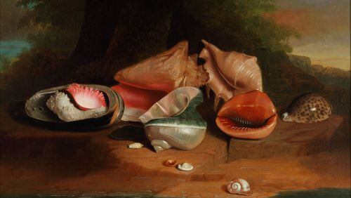 Joseph Biays Ord's "Still Life with Shells" (1840) will be included in the exhibit "“The Simple Pleasures of Still Life” opening at the High Museum of Art in Sept. 15.