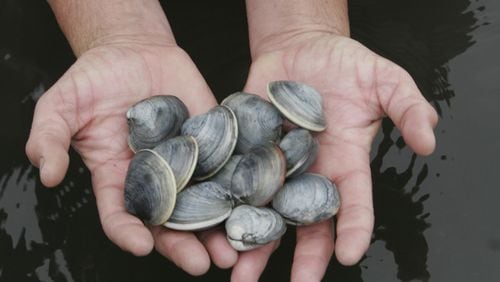 A disgruntled Florida diner complained that the clams he ordered were "extremely" small.