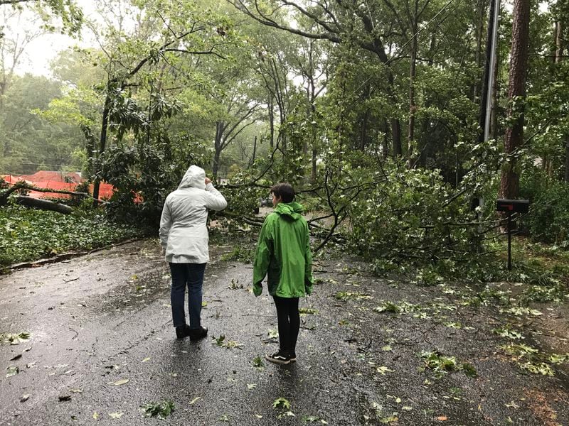 Two residents of McKinnon Drive in Decatur look at a tree that took down a powerline and blocked access to their cul-de-sac