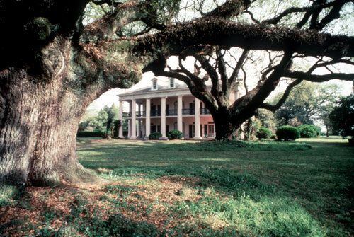 Tours of Louisiana swamps and plantations