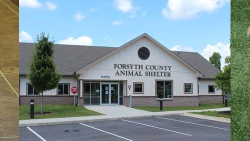 The Forsyth County Animal Shelter, which opened in August of 2014, is dropping pet adoption charges through the holidays.