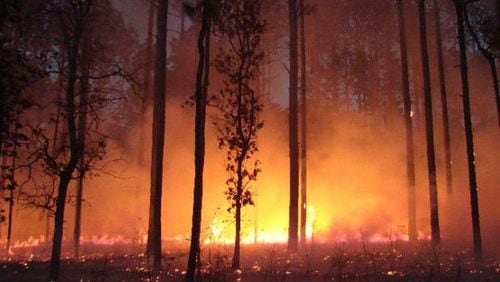 Prescribed burn at Seminole State Park in 2010