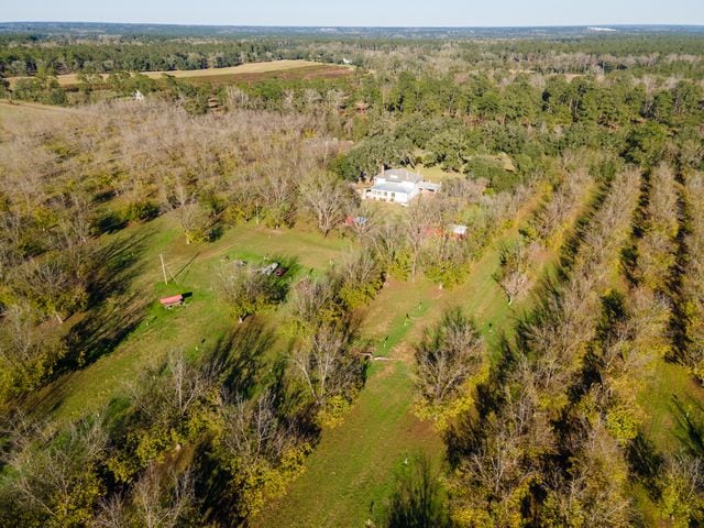 Grow bananas, pecans and more on your own personal Georgia estate for $2 million