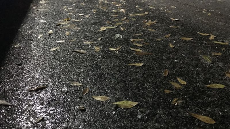 Freezing rain attaches to pavement leaving treacherous conditions on roadways. (Credit: Channel 2 Action News)