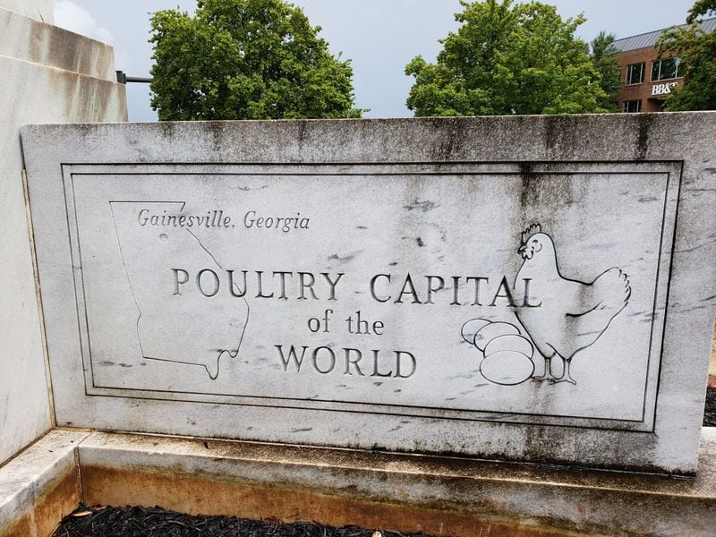 Poultry is by far Georgia’s biggest agriculture commodity, generating billions of dollars in value each year. It’s so big that Gainesville in Hall County honors the industry with a small poultry park, including a monument topped by a chicken. Plant-based chicken substitutes raise a potential challenge for the industry. MATT KEMPNER / AJC