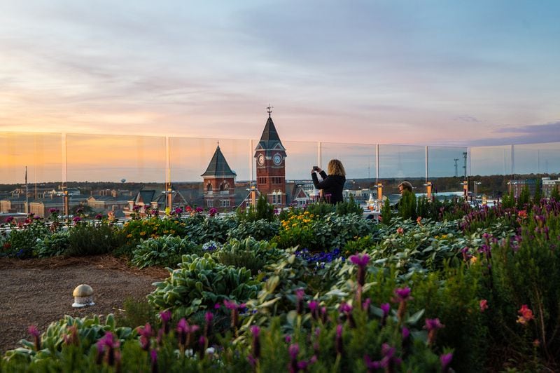 The edible garden on the rooftop of The Laurel Hotel & Spa overlooks Samford Hall and the Auburn campus.
(Courtesy of T2 Photography/ Thomas Boutwell)