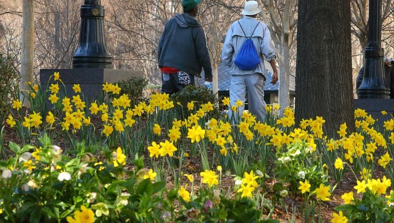 Visitors to Woodruff Park pass by part of the celebration of 20,000 blooms as part of the international efforts of the Daffodil Project to create a living Holocaust Memorial.