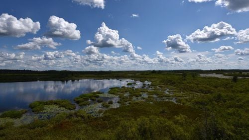 This Aug. 6, 2019, photo shows the view from the Owl's Roost Tower in Okefenokee National Wildlife Refuge. A proposed mine just miles from the swamp's edge may avoid federal oversight, despite a judge vacating a rule that left the project's fate in the hands of the state.