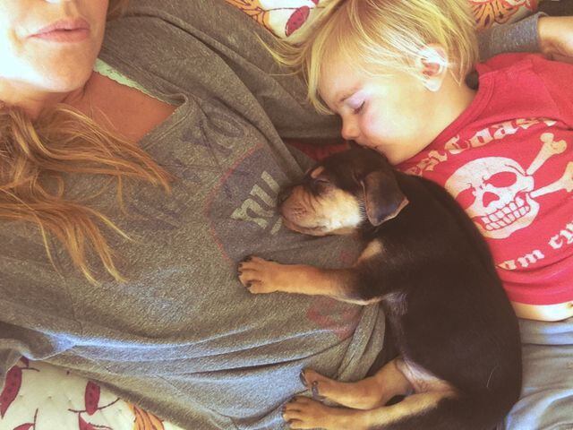 Beau Shyba and Theo the puppy napping