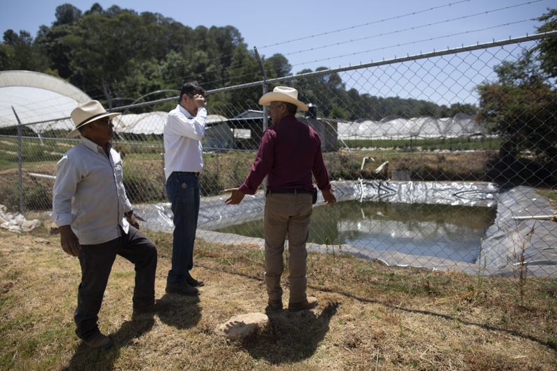 Residents of Villa Madero look at unlicensed irrigation holding ponds during a drought in the mountains of Villa Madero, Mexico, Wednesday, April 17, 2024. The group said they plan to meet with authorities to get the pond's owner to agree on a percentage of water usage, and if it fails, they plan to destroy it. (AP Photo/Armando Solis)