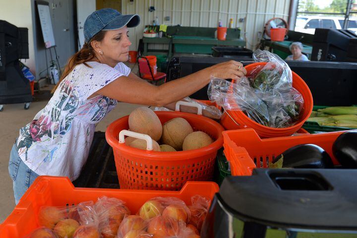 Lovejoy city garden feeds town's hungry