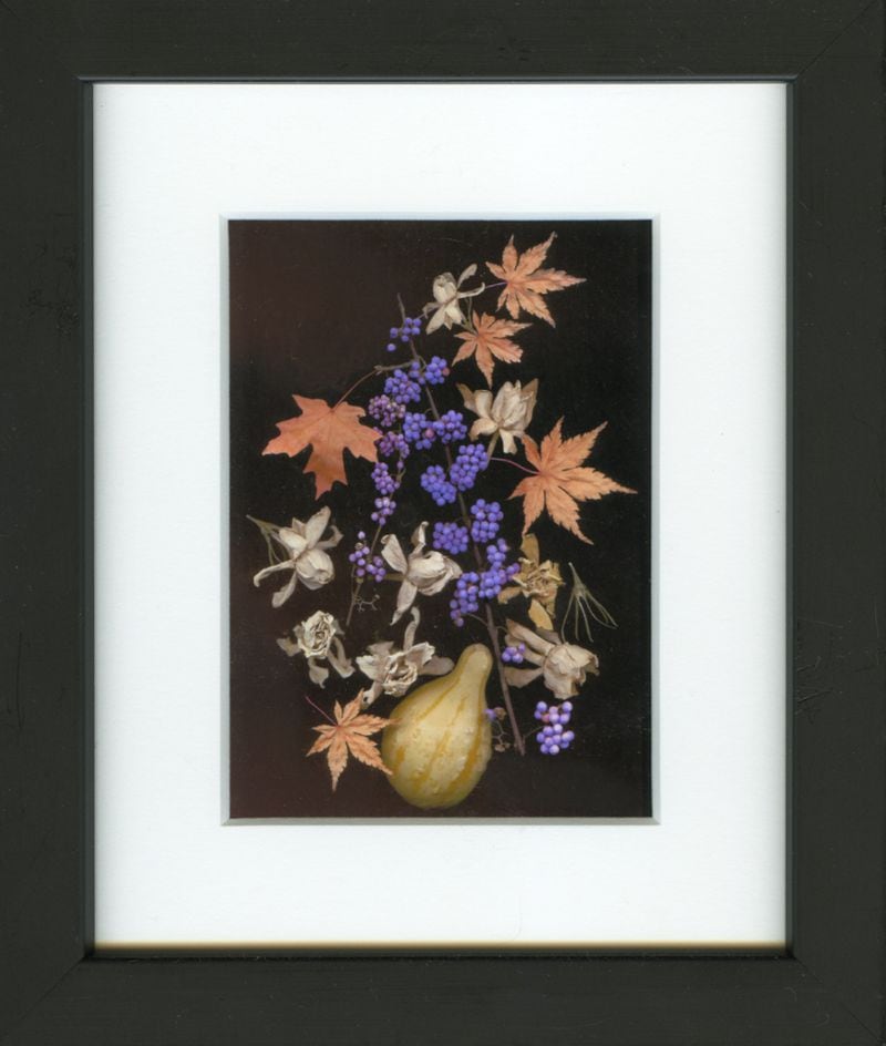 A botanical composite print by Virginia Twinam Smith. CONTRIBUTED BY BEATE SASS