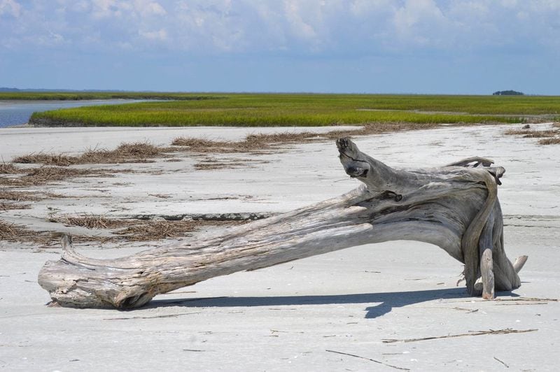 Hunting Island State Park in South Carolina will be offering nature guide tours of the newly acquired St. Phillips Island, formerly owned by Ted Turner. Contributed by DiscoverSouthCarolina.com