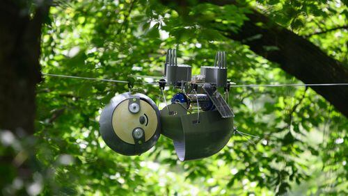 The SlothBot, a slow-moving robot that monitors plant growth, sunshine, rainfall, and other variables, travels along a wire at the Atlanta Botanical Garden. It was created by Georgia Tech robotics students. Courtesy of ATLANTA BOTANICAL GARDEN