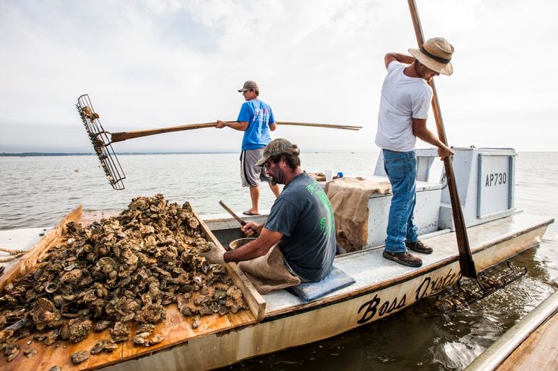 FILE- In this April 2, 2015, file photo, John Stokes, center, culls Apalachicola oysters while his two sons Ryan, left, and Wesley Stokes tong oysters from the bottom of Apalachicola Bay. The Supreme Court is giving Florida another chance to make its case that Georgia uses too much water and leaves too little for its southern neighbor. The justices ruled 5-4, Wednesday, June 27, 2018, in the long-running dispute between the two states. The court said that a special master appointed to hear the lawsuit should reconsider Florida's argument that limiting how much water Georgia uses would provide more for the Apalachicola river that flows into Apalachicola Bay and the nearby Gulf of Mexico.