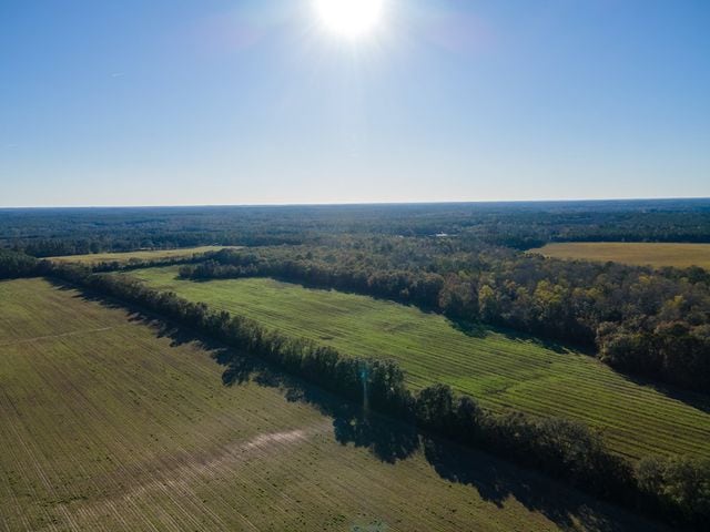 Still on the market, Historic Mill Rock Plantation listed under Georgia Trust’s ‘historic properties’
