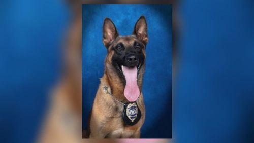 Eli, a Gwinnett County police dog, died Thursday after tracking a suspect in Grayson, authorities said. Heat is believed to be a factor in the dog's death.