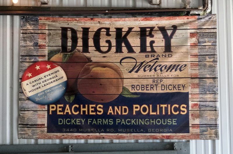 Robert Dickey, who serves in the Georgia General Assembly, mixes peaches and politics at the Dickey peach orchards in Middle Georgia. The Dickeys farm a thousand acres of peaches. (Meera Subramanian / InsideClimate News)