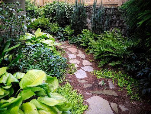 Amazing Space: A cozy garden retreat