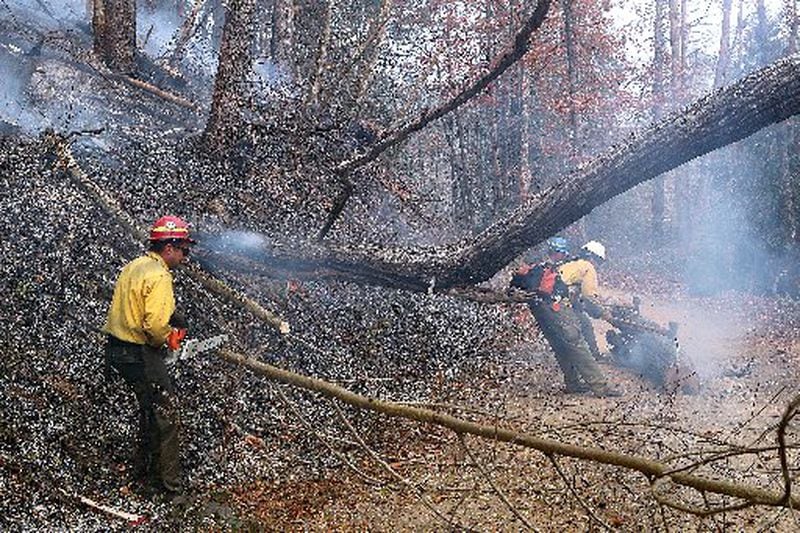 Firefighters from Montana work to clear weakened trees and debris in the Rock Mountain Fire near Clayton. CURTIS COMPTON / CCOMPTON@AJC.COM