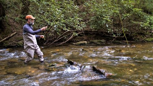 Dukes Creek, a trophy trout fishing stream sought out by anglers from around the country, flows through the heart of Smithgall Woods State Park.
(Courtesy of Alpine Helen-White County CVB)