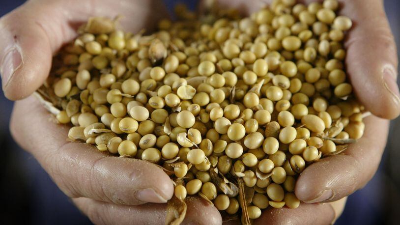 Soybeans are used to make plant-based protein products. Tyson Foods, the country's largest meat processor, is investing in more meatless start-ups.
