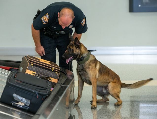 Trooper First Class Young, with the Georgia State Patrol, trains with his K-9, Appa, on the luggage carousel in E Concourse. The U.S. Customs and Border Protection Office of Field Operations Port of Atlanta hosted a two-day K-9 training conference at Hartsfield-Jackson Atlanta International Airport (ATL). K-9 detection dogs from the U.S. Customs and Border Protection, Georgia Department of Correction, Georgia State Patrol, Union City, Newnan, Bowden Police and Clayton County Police participated in training exercises. PHIL SKINNER FOR THE ATLANTA JOURNAL-CONSTITUTION.