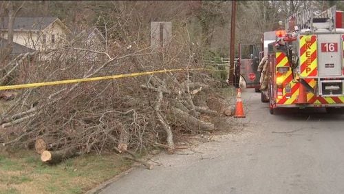 A man was reported killed Saturday after getting tangled in wires while trimming branches outside a DeKalb home, reported Channel 2 Action News.