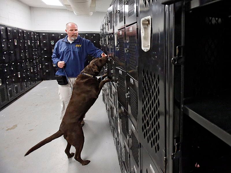 Clayton County school officials responded to a rash of weapons on campus several years ago with a surprise sweep of a half-dozen high schools using weapons-and-drug-sniffing dogs. AJC file photo