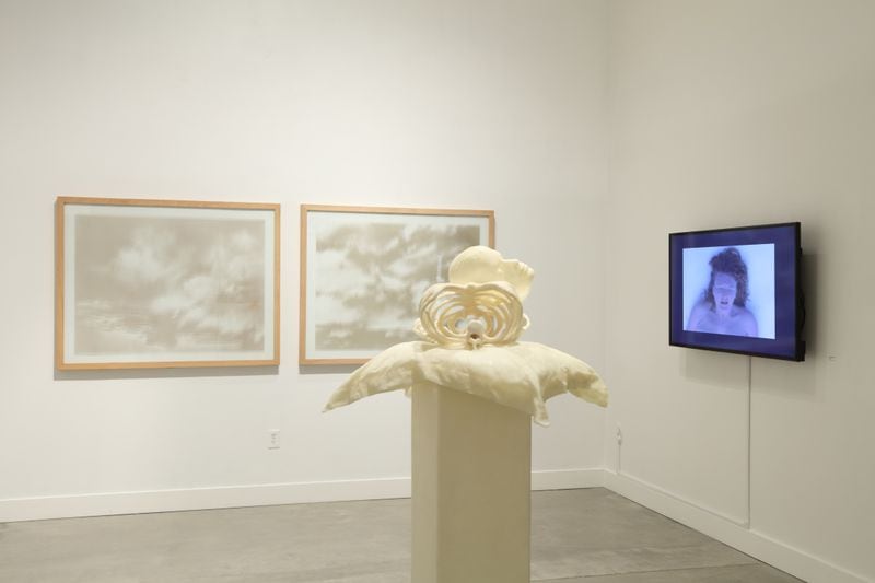 Installation view of "This Mortal Coil" exhibition, curated by Cynthia Nourse Thompson. Image courtesy Zuckerman Museum of Art; Photography by Mike Jensen.
