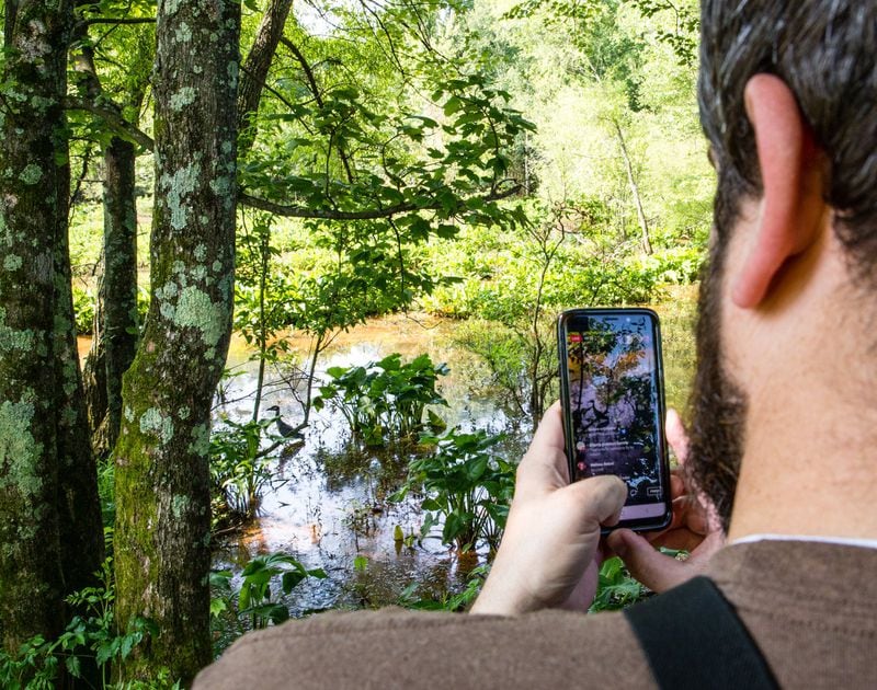 Adam Betuel shows a Facebook Live audience a yellow-crowned night heron in the Constitution Lakes area. Betuel and his co-workers at the Atlanta Audubon Society provide the virtual walks every Friday to replace the more than 100 walks per year the group hosts normally. (Jenni Girtman for Atlanta Journal Constitution)