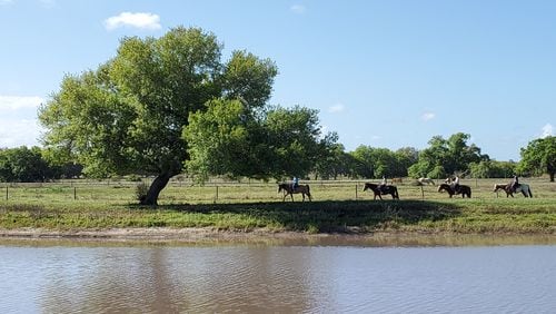 Horseback riding is one of many activities available to visitors of Westgate River Ranch in River Ranch, Florida.
Courtesy of Seldon Ink