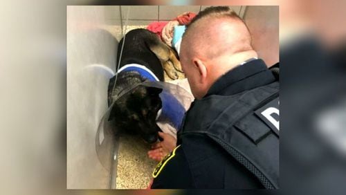 K-9 Jerry Lee was shot once in his front leg. He was taken to Blue Pearl Animal Hospital in Sandy Springs for surgery.