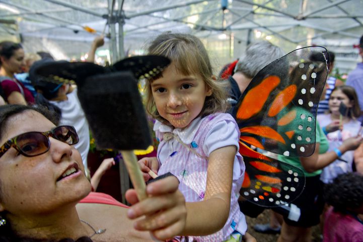 Butterfly Festival at Dunwoody Nature Center