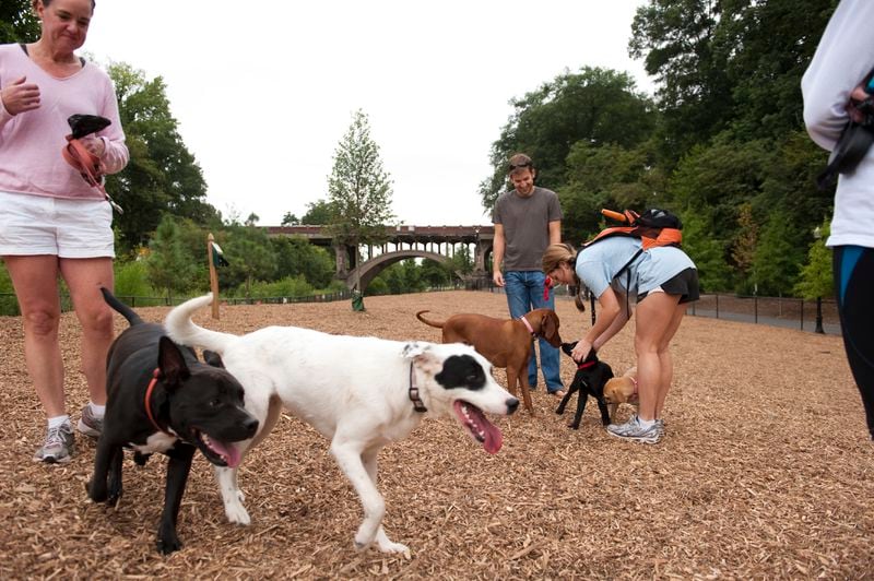 Located in Midtown, Piedmont Park is just one of many off-leash dog parks found throughout the Atlanta metro area.