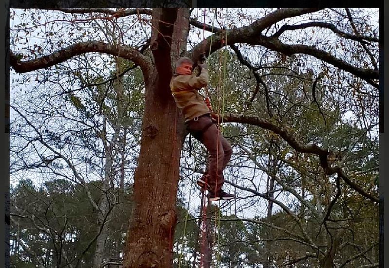 The author, Bill Torpy, up a tree. 