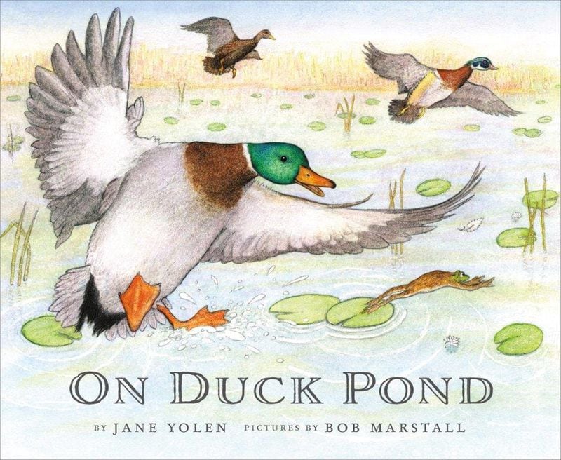 “On Duck Pond” by Jane Yolen, pictures by Bob Marstall (Cornell Lab Publishing Group). CONTRIBUTED