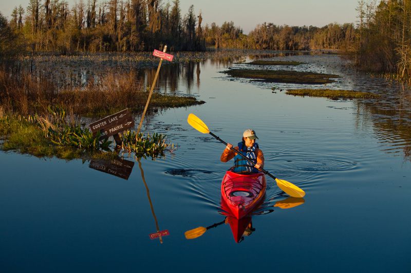 Paddle the Okefenokee Swamp by day, and enjoy the star show on clear nights."
Courtesy of Explore Georgia