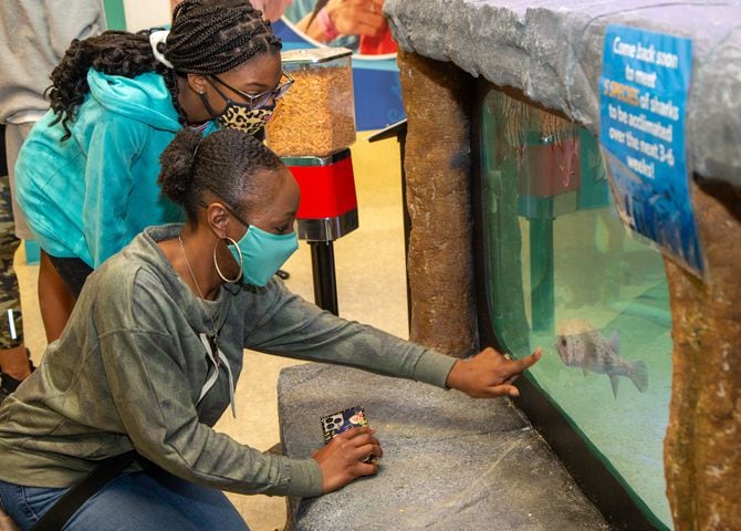 Wendy Wilson points at a fish as her daughter Aubrey, 12, watched during at the opening of SeaQuest aquarium in The Mall at Stonecrest. PHIL SKINNER FOR THE ATLANTA JOURNAL-CONSTITUTION.