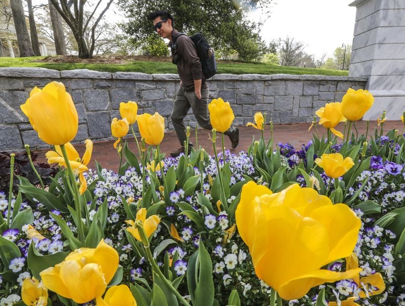 Though March brought chilly temperatures, pollen counts still rose, and were at 1,573 on March 29 when the AJC caught up with Emory University student Jeff Kim on his way to class. The pollen count reached way higher several times in April. JOHN SPINK / JSPINK@AJC.COM
