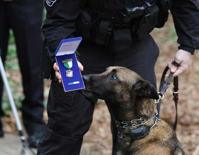 3/13/19 - Tucker - Master Police Officer Norman Larsen holds the meritorious service medal, a Purple Heart, while DeKalb County police K-9 Indi gives it a sniff during a ceremony outside of DeKalb County police headquarters in Tucker, Georgia on Wednesday, March 13, 2019. DeKalb County police K-9 Indi will return to work after being shot and losing an eye while helping human police officers track down a killer in December. EMILY HANEY / emily.haney@ajc.com