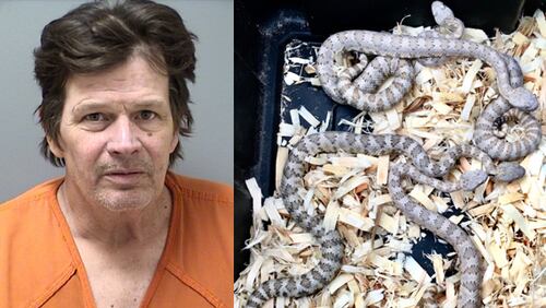 Authorities said nine rattlesnakes were found in Richard Rolands’ home.