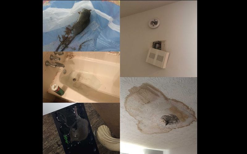 Residents of buildings owned by Trinity Parkview LLC live with rats, peeling bathtubs, leaking ceilings and no smoke detectors. (Meris Lutz/AJC, with residents)