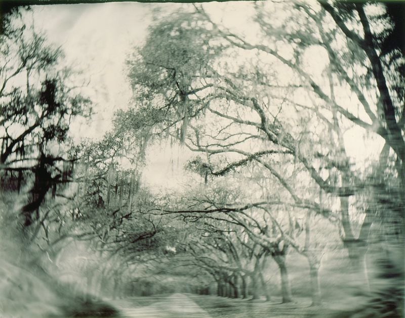 One of the first photographers commissioned for "Picturing the South," for her project, Sally Mann turned from her well-known images of her children to moody portraits of the Southern landscape as in "Untitled," (1996).
Courtesy of Sally Mann