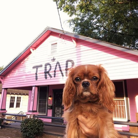 Photos: Atlanta pink trap house
