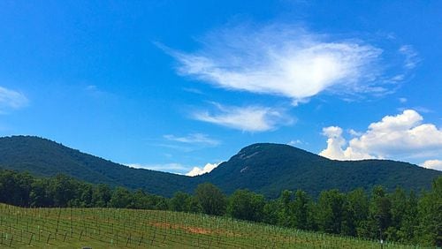 Mt. Yonah presides over Yonah Mountain Vineyards near Cleveland, Georgia. Photo by Cindy Foster.